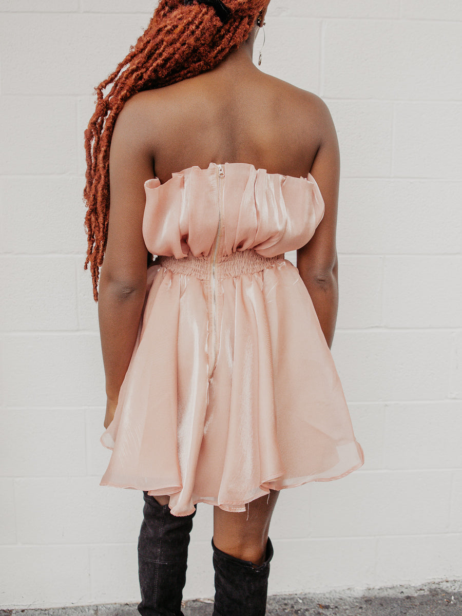Rose Mini Dress